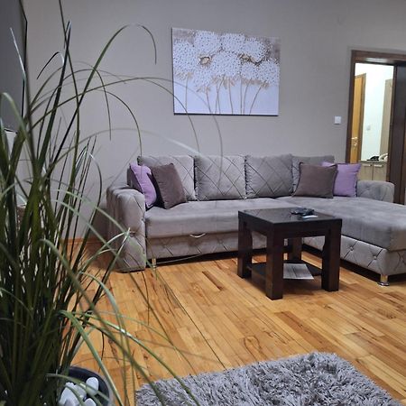 Apartmani Radulovic Vrnjačka Banja Habitación foto