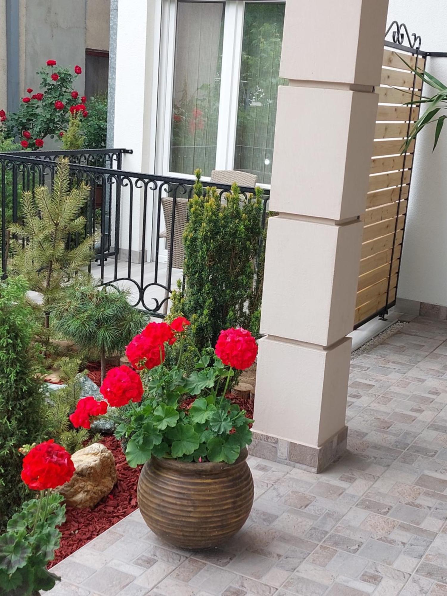 Apartmani Radulovic Vrnjačka Banja Habitación foto