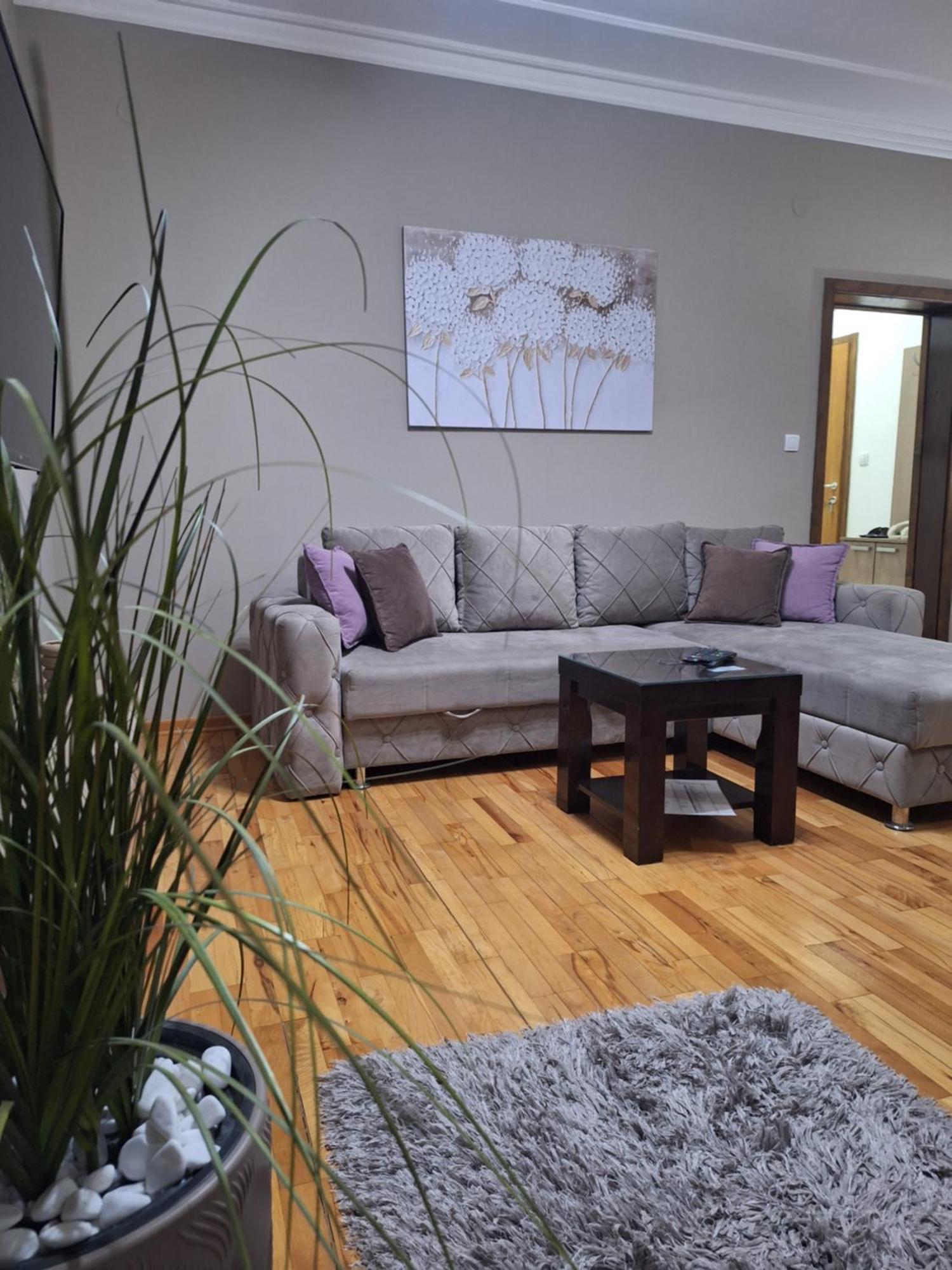 Apartmani Radulovic Vrnjačka Banja Habitación foto