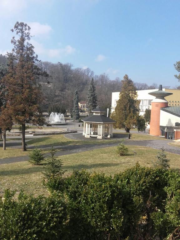 Apartmani Radulovic Vrnjačka Banja Exterior foto